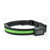 Fluorescent dog collar